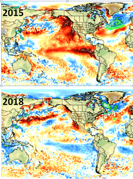 2015年と2018年の世界の海水温マップ
