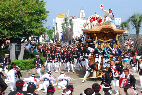 岸和田だんじり祭の写真